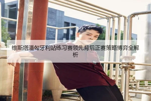 维斯塔潘匈牙利站练习赛领先背后正赛策略博弈全解析